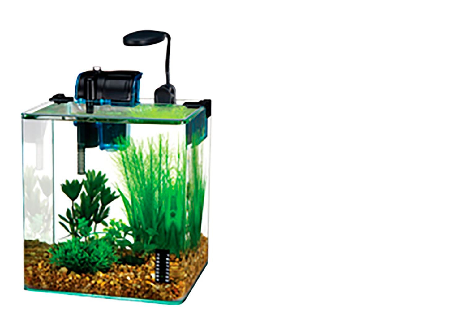 Vertex Aquarium | School Specialty